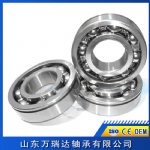 Deep Groove Ball Bearing with Snap ring